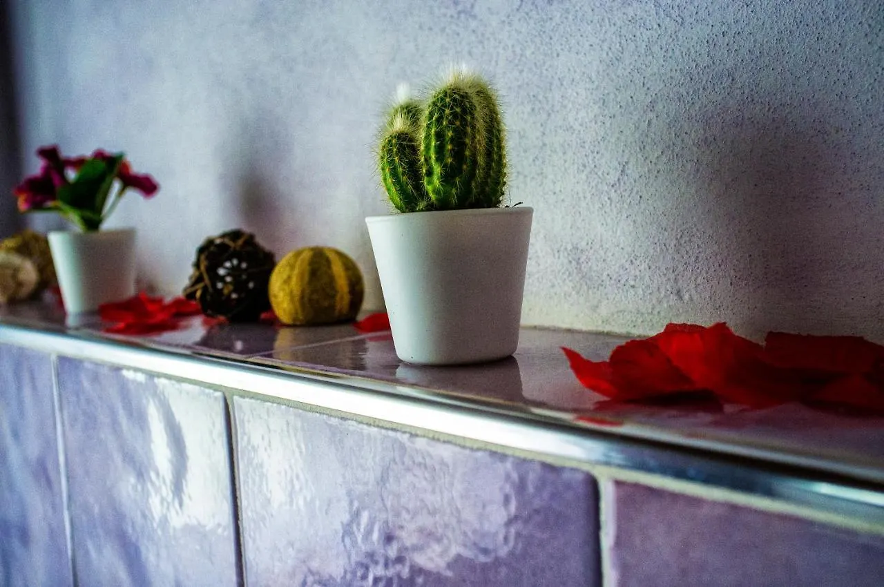 Il Casale Di David Bed & Breakfast Pontedera