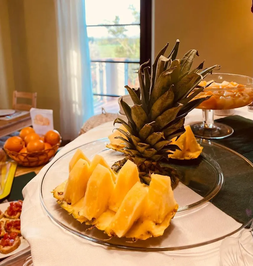 Il Casale Di David Bed & Breakfast Pontedera